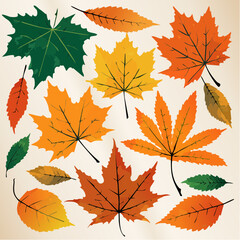 Obraz premium Flat lay of assorted autumn leaves in warm orange and yellow tones against a beige background, showcasing various shapes and sizes of maple and other fall foliage.