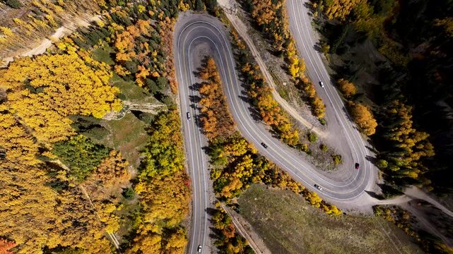 Top Down Aerial of Winding Mountain Road Through Colorado Fall Foliage