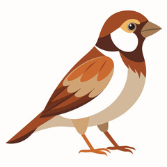 Fototapeta premium bird isolated on white background