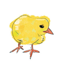 easter chick with egg, 병아리, chick