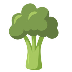 Green broccoli with rounded florets. Perfect for diet-themed graphics, healthy eating designs, or vegetarian visuals.