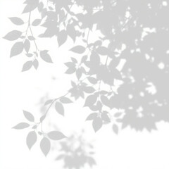 shadow overlay effect. Gray shadow of leaves isolated on white background. Plant foliage leaf shadow light effect. Mockup Blurred tree branch shadow. Ideal for summer spring design elements PNG