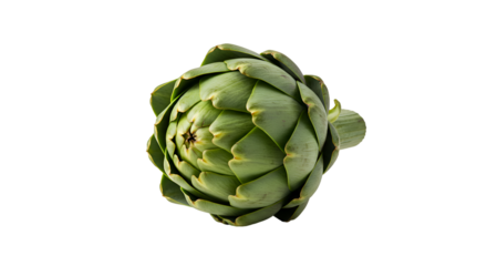 Fresh Green Globe Artichoke on a Stylized Dark Background with Stripes