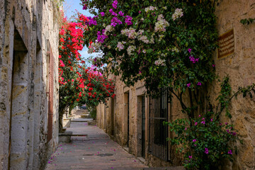 Fototapeta premium Morelia, Mexico - February 17, 2025: The Callejon del Romance or Alley of Romance is a picturesque and romantic cobblestone street located in the historic center of Morelia, Mexico.