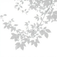shadow overlay effect. Gray shadow of leaves isolated on white background. Plant foliage leaf shadow light effect. Mockup Blurred tree branch shadow. Ideal for summer spring design elements PNG