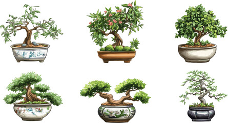 Set of decorative bonsai plants in pots. Vector illustration for decoration.