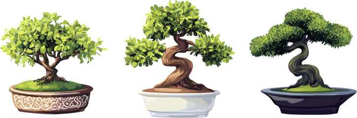 3 sets of bonsai plants in different styles isolated on a white background. Cutout illustration.