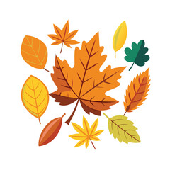 Fototapeta premium Vibrant autumn leaves in various shapes and colors
