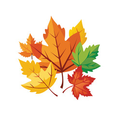 Obraz premium Vibrant autumn maple leaves in a colorful cluster