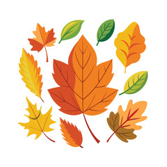 Obraz premium Vibrant collection of autumn leaves in various colors and shapes