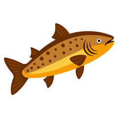 Brown trout fish vector on white background.