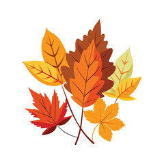 Obraz premium Vibrant autumn leaves in a cluster