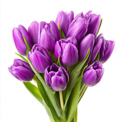 Purple tulip bouquet