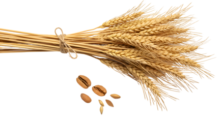 A Bundle of Golden Wheat Stalks and Coffee Beans on a Warm Background