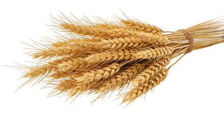Golden Wheat Bundle Tied with Twine on a Warm Background
