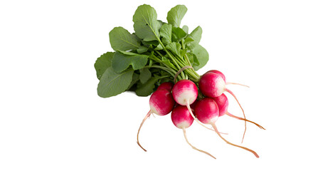 bunch of radishes isolated
