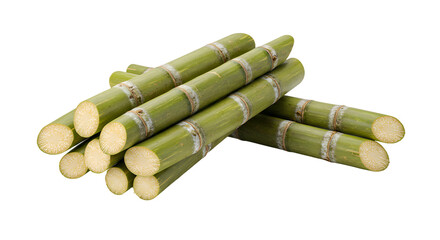 asparagus on white background
