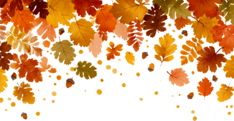 Vibrant Autumn Leaves with Acorns on Transparent Background for Creative Projects
