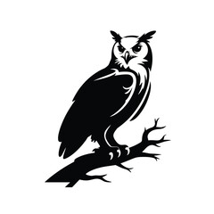 Silhouette of a great horned owl perched on a bare branch