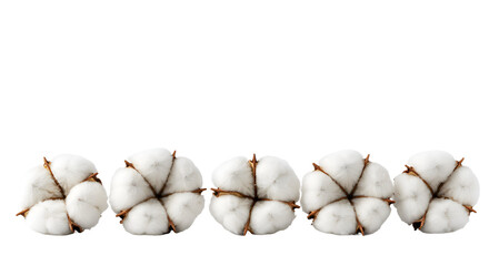 Fluffy White Cotton Bolls Arranged Horizontally on a White Surface