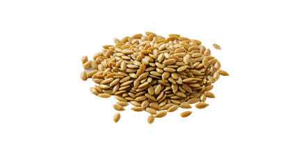 sunflower seeds isolated on white background