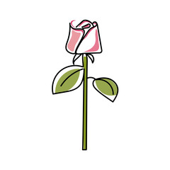 Fototapeta premium Flower. Line art. Colorful, isolated on a white background. Decorative element, clipart, icon. Vector illustration.