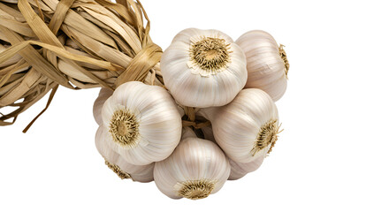 Bundle of Fresh White Garlic Bulbs Tied with Dried Stems