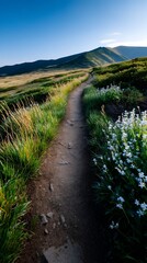 Fototapeta premium Scenic mountain trail winding through wildflowers and grass