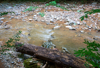 the source of a mountain river, on the slopes and in a stone riverbed in the mountains