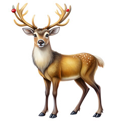 Fototapeta premium Reindeer animal for Christmas design isolated on transparent background, Png