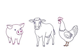 Fototapeta premium Simple line drawings of pig, cow, and chicken; minimalist farm animal illustrations, agriculture, rural