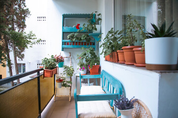 Small balcony with blue wooden bench and summer flowers.