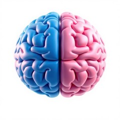 A vibrant and stylized brain model split into blue and pink sections, representing different cognitive functions.