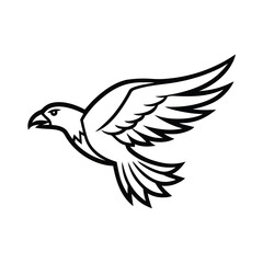 flying eagle logo design vector illustration