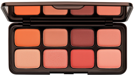 Elegant Eye and Lip Color Palette with Warm Shades for Flawless Makeup Looks and Creative Cosmetic Applications