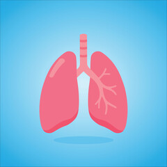 Healthy Human Lungs Organ Vector,lungs vector