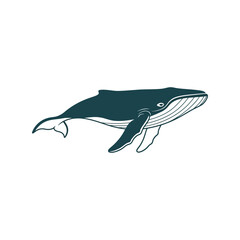Whale illustration simple minimal drawing marine mammal ocean life sea creature aquatic animal vector
