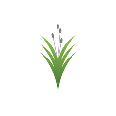 Stylized green grass logo vector symbol design