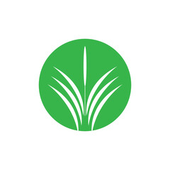 Stylized green grass logo vector symbol design