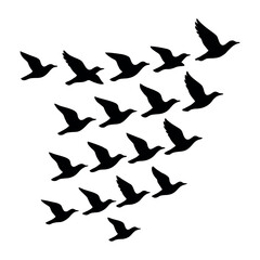 Seamless Pattern of Flying Birds Silhouette on White Background