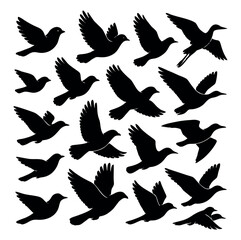 Seamless Pattern of Flying Birds Silhouette on White Background