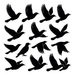 Seamless Pattern of Flying Birds Silhouette on White Background