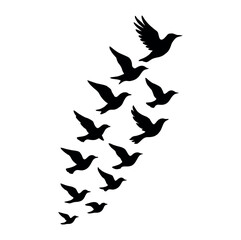 Seamless Pattern of Flying Birds Silhouette on White Background