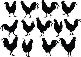 A Set of Vector Rooster Silhouettes in Various Poses, Ideal for Farm Animal, Rural Life, and Poultry-Themed Design Projects
.