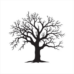 Obraz premium Classic bare tree silhouette with a full round shape and dense leafless branches.. Isolated black and white vector illustration for any season.