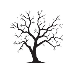 Obraz premium Wide spreading bare tree silhouette with a large canopy of leafless branches.. Black and white vector drawing for landscape or nature scenes.