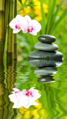 Zen Garden Stones, Calm Setting