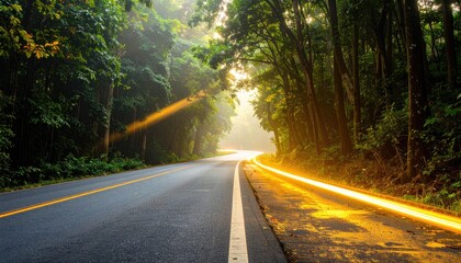 Obraz premium A paved road winding through a misty forest, sunlight filtering through the trees