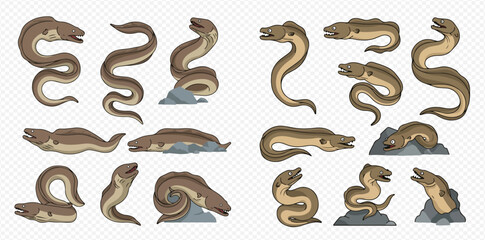 A collection of cartoon vector illustrations depicting various eels in different swimming, coiled, and resting poses, isolated on a transparent background.