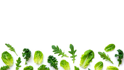 Fresh Green Salad Leaves Border: Mixed Lettuce, Arugula, and Kale on White Background